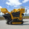 Mini Dump Truck