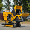 Mini Dump Truck